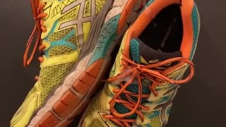 Sneaks of brother in law