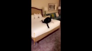 Daytona beach with this cutie lily freak all weekend anal deepthoat tight pussy my cock happy lol