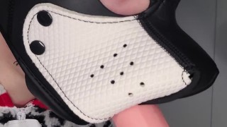 Pup Sucks A Bone Like A Good Boy