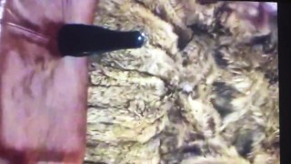 Hard Black cock / Dick going live