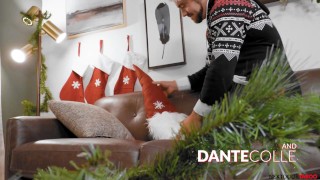 NextDoorTaboo - Stepbrother Fucked On Christmas