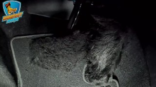 Over the pedal view of my hot feet hitting the pedals. lots of toe wiggling