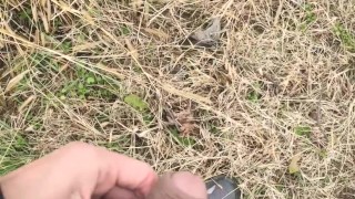 Hot amateur average cock pissing in nature