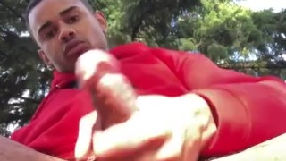 BBC Busting a nut in the woods