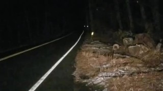 Chubby Latino Outside *COLD*