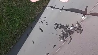 Love outside nutting now