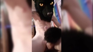 Horny wolf show off and tease himself before a good fap