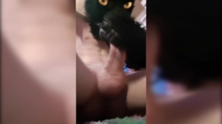 Horny wolf show off and tease himself before a good fap