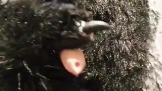 Murrsuiter full of piss releave himself on your face !