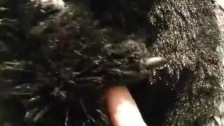 Murrsuiter full of piss releave himself on your face !