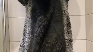 Ted up murrsuiter releaves himself after holding his piss for a long time