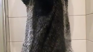 Ted up murrsuiter releaves himself after holding his piss for a long time