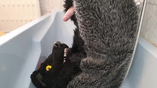 Murrsuiter pisses on himself and inside his maw for a good drink then cum inside