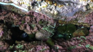 Would you like to be penetrated in a deep way in a deep spectacular cave? - Manlyfoot road trip