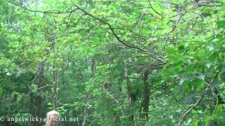 Angel Wicky Brazilian forest