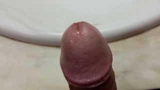 Mi polla bien dura
