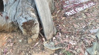 Cruising through the capital ended up getting locked up in jail! - Manlyfoot roadtrip - Ettamoga Pub