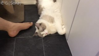 男の足【素人】