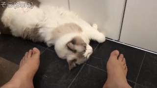 男の足【素人】