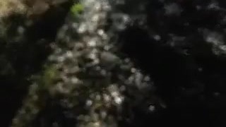 pissing in a public park during pride by the road