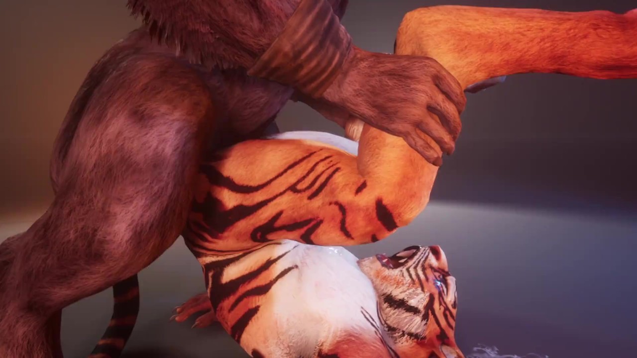 [Fart Fetish] Minotaur Cums Inside Tiger Boy After First Sitting on His ...