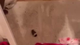 Quick little Cum shot 