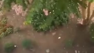 Cum from the balcony