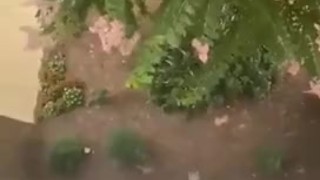 Cum from the balcony