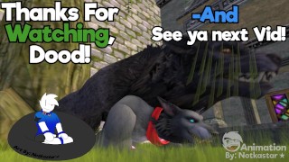 Tips and Tricks From "Frisky Friends"