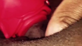 Clit Sucking: Rosey sucking my clit 