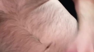 Furry bear cumshot jerk off hairy pits and balls