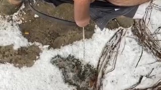 Peen in the snow 