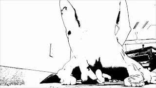 COMIC MORNING SLUT HUNGRY FOR COCK.