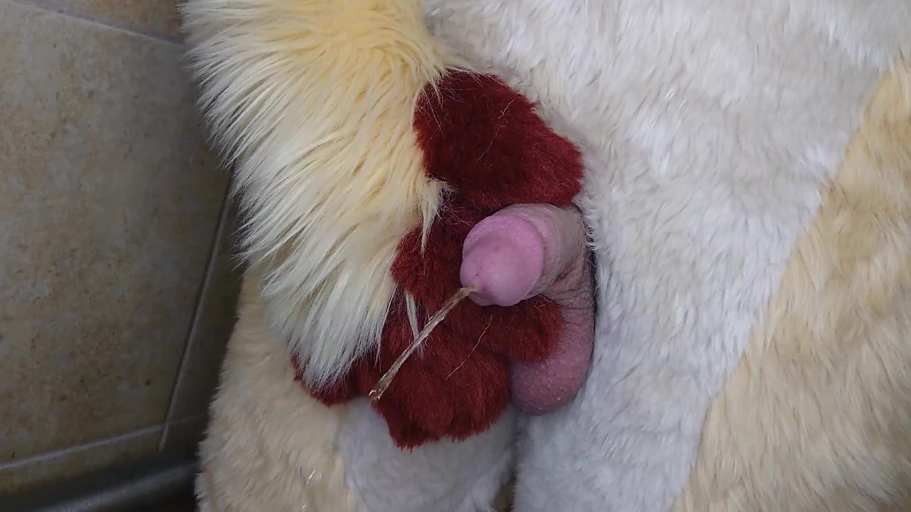 Pissing and cumming for you in fursuit.