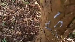 Cheeky wank in the woods with a moan 