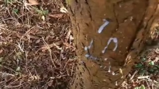Cheeky wank in the woods with a moan 