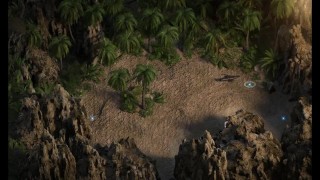 Treasure Of Nadia NLT-Media: Golden Teddy And Palm Leaf-Ep187