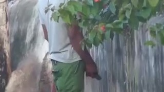 Jamaican pissing in public 