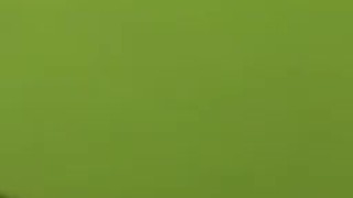 Big black shadow dick