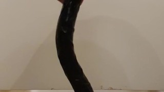 Training with 19 inch (48 cm) dildo