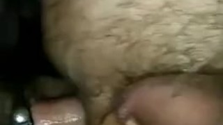 Bears Breeding in a Sling, No Pull Out