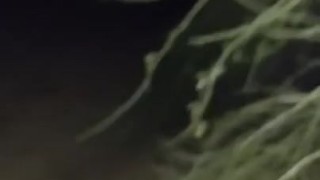 Public blowjob in park at night