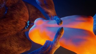 Furry anal pov | wild life | gay