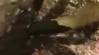 Twink Naked in public woods wanking hude cumshot