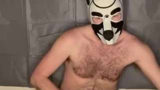 Alpha pup sniffs pits and cums on sweaty briefs 