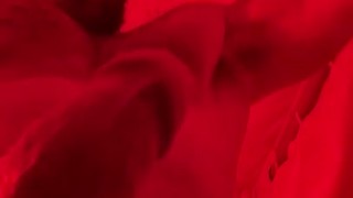 Giant Dick Bodybuilder Showing Off Huge Cock in Sauna OnlyfansBeefbeast Hairy Beef Bull Sweaty Balls