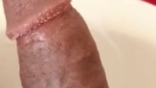 Horny Dick getting ready for PUSSY