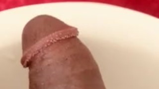 Horny Dick getting ready for PUSSY