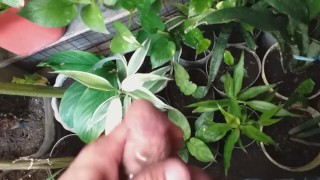Playing with my baby pierce in the garden