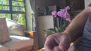 Wanking in an AirBNB